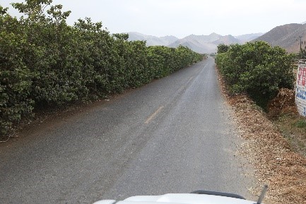 Carretera Vecinal Culebras